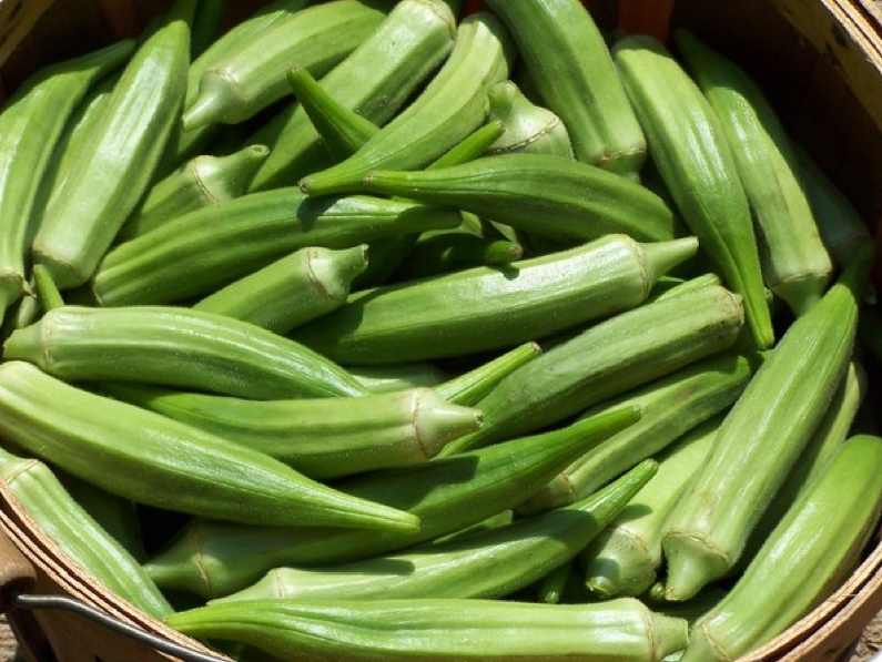 Okra Bamia