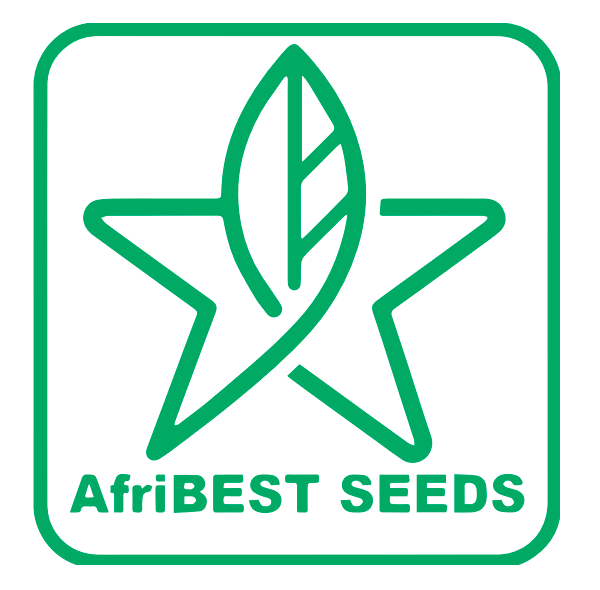 Afribest Seeds